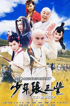 少年张三丰（2001）海报