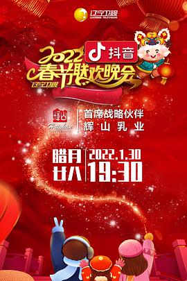 2022年辽宁卫视春节联欢晚会（纯享版）海报