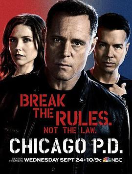 芝加哥警署 第二季海报
