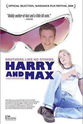 哈利与马克斯海报