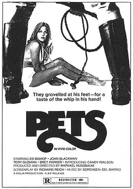 宠物 1973海报