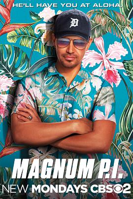 新夏威夷神探 第一季海报