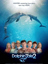 海豚的故事2海报