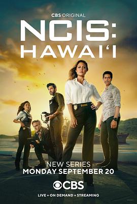 海军罪案调查处：夏威夷 第一季海报