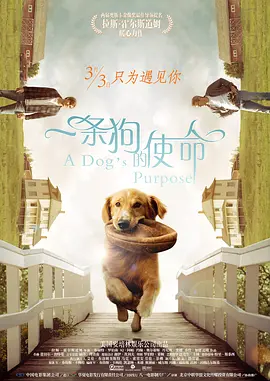 一条狗的使命（普通话版）海报