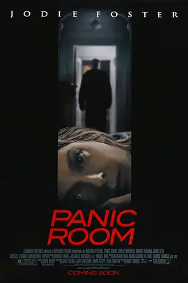 Panic Room海报
