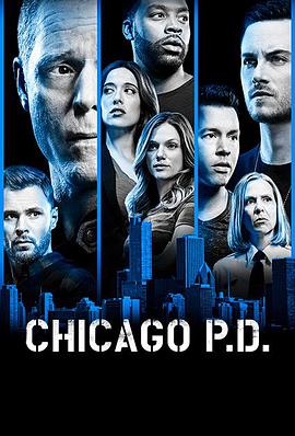 芝加哥警署 第六季海报