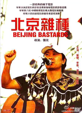 北京杂种海报