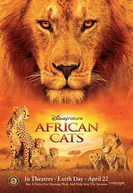 非洲猫科海报