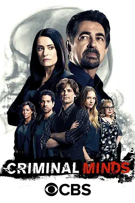 犯罪心理 第十二季海报