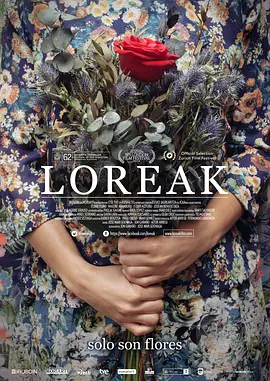 花（2014）海报