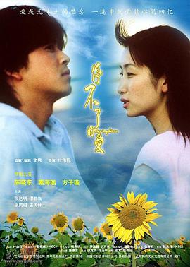 停不了的爱（2002）海报