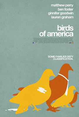美国鸟类海报