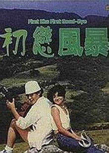 初恋风暴1978海报