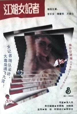 江湖女记者海报