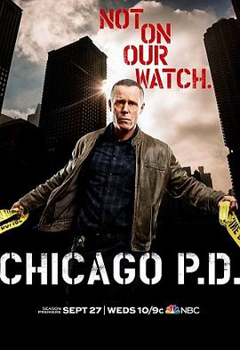 芝加哥警署第五季海报
