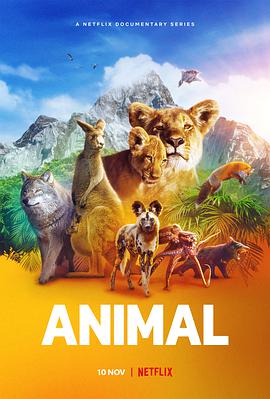 动物本色第二季海报