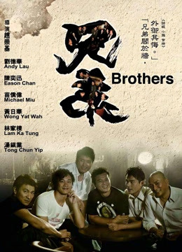 兄弟2007海报