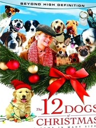 圣诞节的12只小狗海报