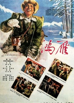 鸿雁（1960）海报