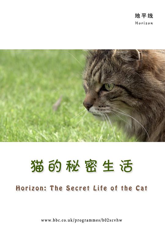 BBC地平线：猫的秘密生活海报