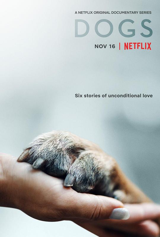 爱犬情深 第一季海报