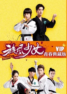 旋风少女第二季VIP青春典藏版海报