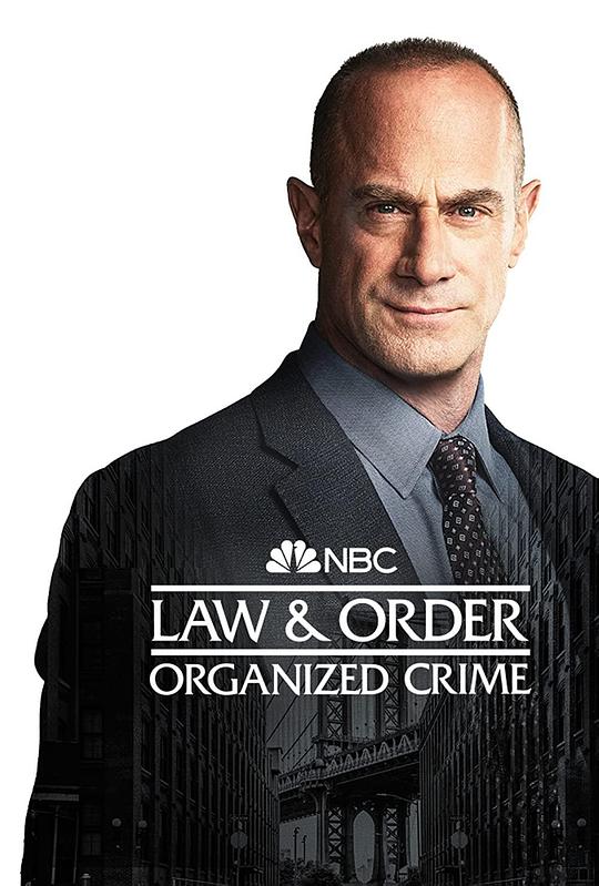 法律与秩序：组织犯罪   第三季海报