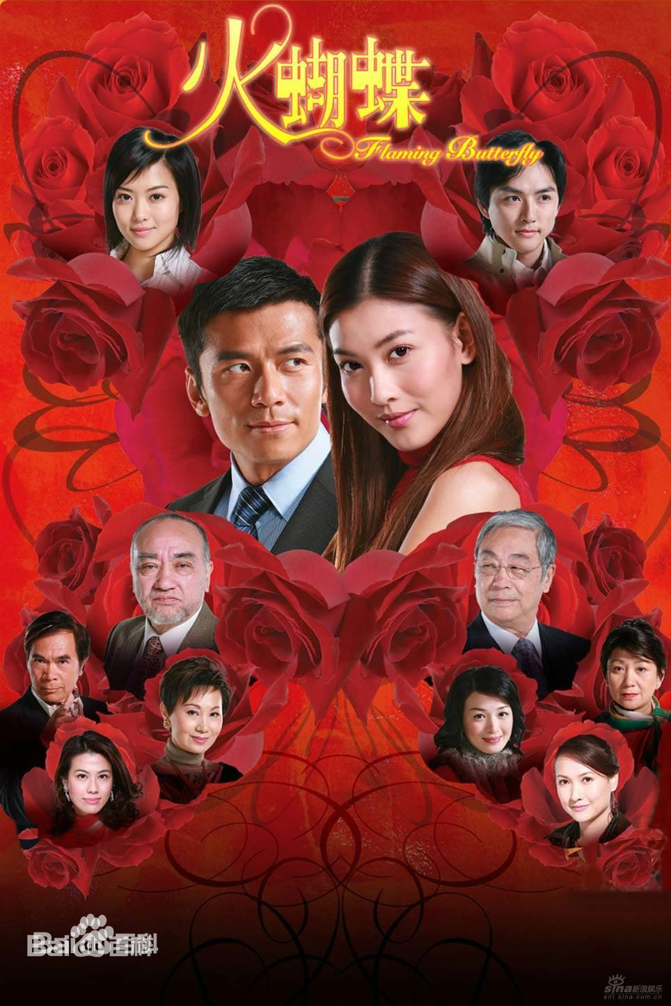 火蝴蝶2008海报